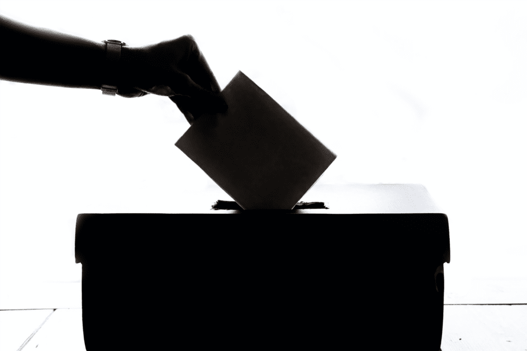 Democracy Without Politics